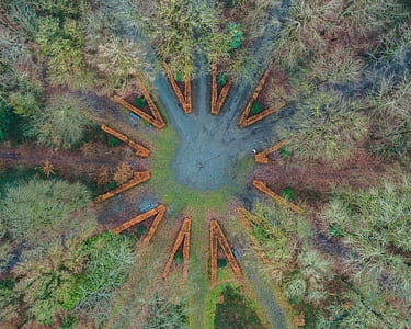 aerial view photography of forest thumbnail