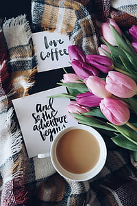 pink tulips flowers near white ceramic teacup with brown liquid inside thumbnail