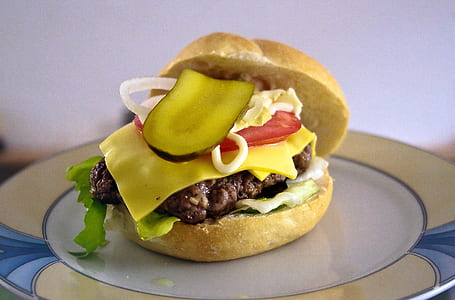 quarter-pounder burger on plate thumbnail