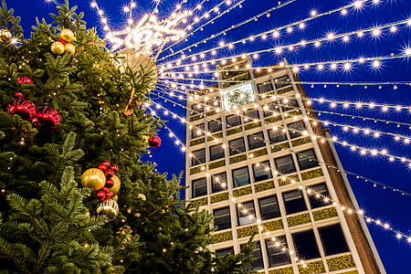 white and brown concrete building near Christmas tree thumbnail