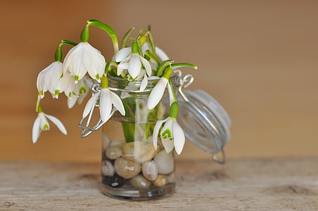 white petal flower in vase filled with water thumbnail