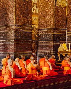 meditating monks wearing orange kasaya thumbnail