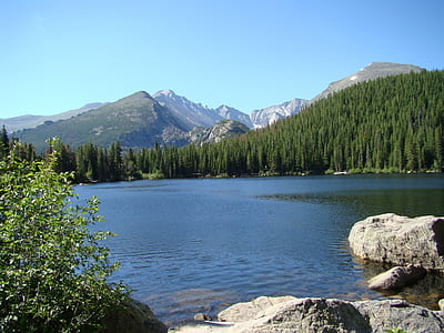 body of water surrounded by trees during daytime thumbnail