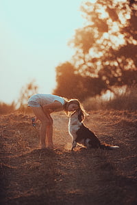 white and black dog kissing woman on head during daytime thumbnail