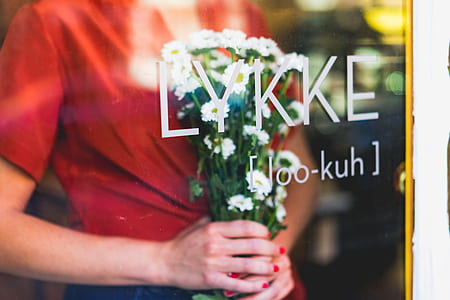 person holding white daisy flowers thumbnail