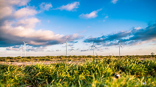 landscape photo of wind turbines on grass field thumbnail