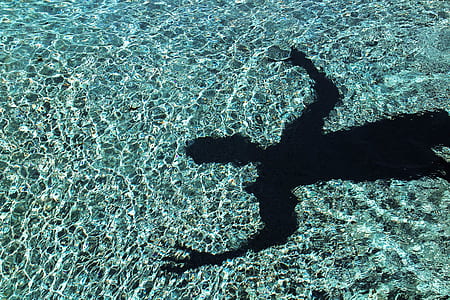 shadow of person on clear blue water thumbnail