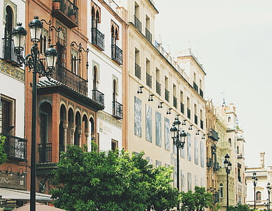 lamp posts near trees and buildings thumbnail