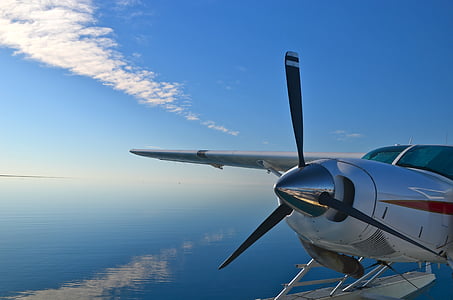 white and gray plane on sky thumbnail