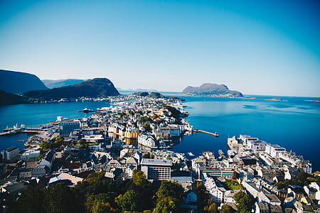 aerial photography of city beside water thumbnail