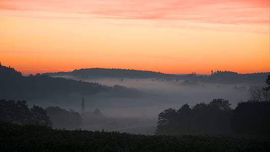silhouette photo of trees with fog thumbnail