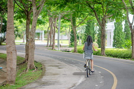 Road with a green tree and woman on bike thumbnail