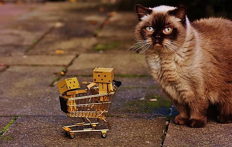 grey cat near shopping cart scale model thumbnail