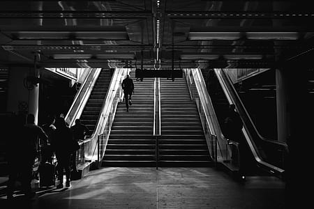 staircase, steps, stairs, escalator thumbnail