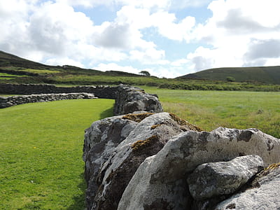 green grass field thumbnail
