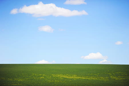 green grass under cloudy sky thumbnail