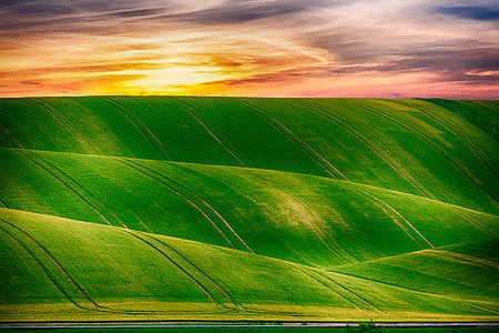 green grass hills during golden hour photography thumbnail