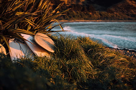 body of water surrounded with grass thumbnail