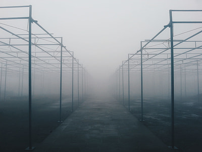minimalist photography of canopy frame with fogs thumbnail