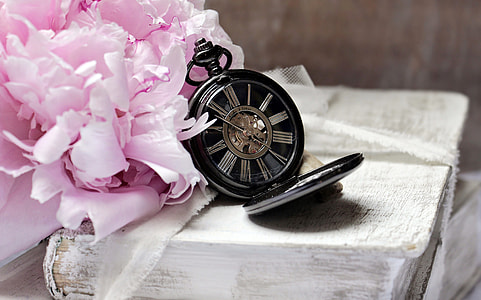 black skeleton pocket watch beside pink petaled flower thumbnail