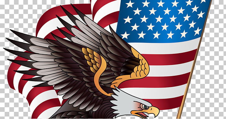 Bald Eagle United States American Eagle Outfitters United States Png Clipart Free Cliparts Uihere
