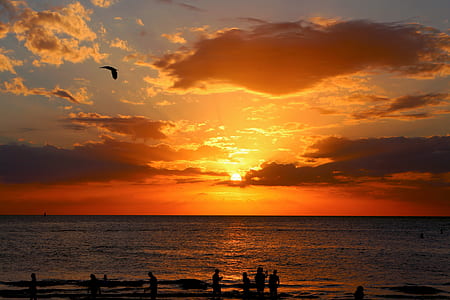 silhouette of people on shoreline during sunset thumbnail
