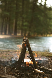 tilt shift lens photography of bonfire beside body of water thumbnail