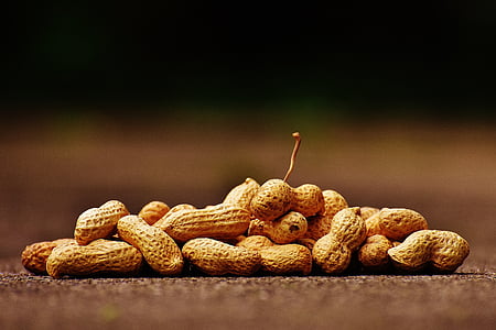 shallow focus photography of brown peanuts thumbnail