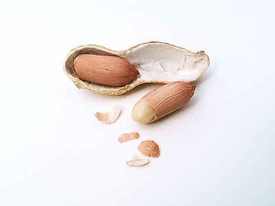 peanuts with shell thumbnail
