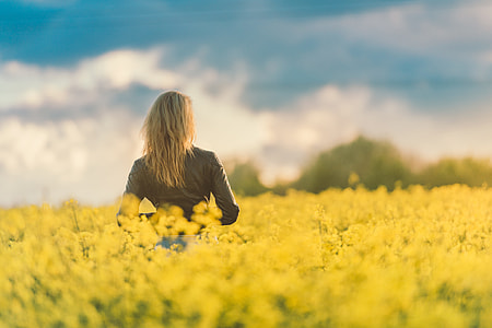 Woman in Yellow Field at Sunset thumbnail