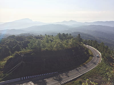 Aerial Photography of Curved Concrete Road Beside Green Trees thumbnail