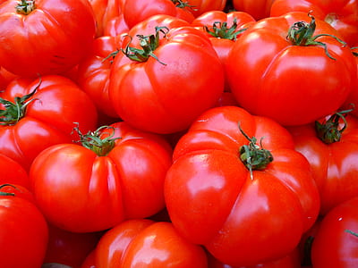 bunch of tomatoes thumbnail