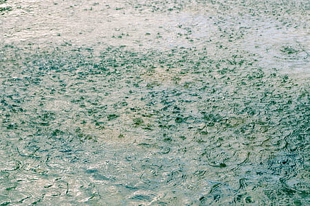 green leaf on calm body thumbnail