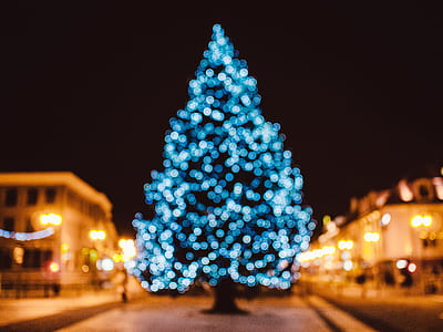lighted Christmas tree thumbnail
