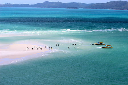 people near seashore at daytime thumbnail