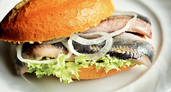 fish sandwich thumbnail