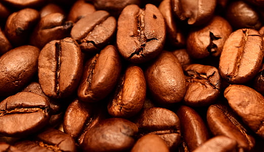focus photo of coffee beans thumbnail