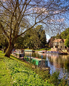 boats on river near trees thumbnail