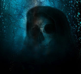 skull illustration thumbnail