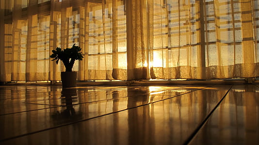beige window curtains thumbnail