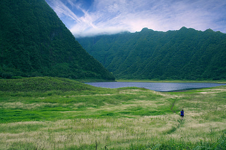 person standing on green field thumbnail