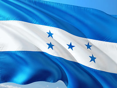 waving blue and white striped flag ay daytime thumbnail