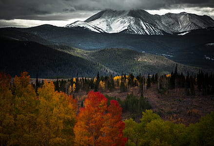 green trees under cloudy sky during daytime thumbnail