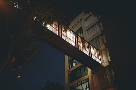 green tree beside concrete building thumbnail