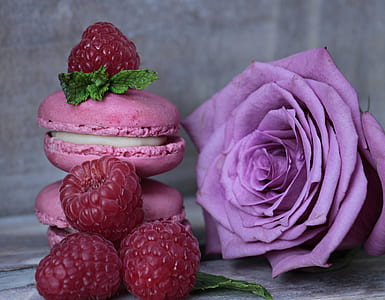 pink rose and pink macaroons thumbnail