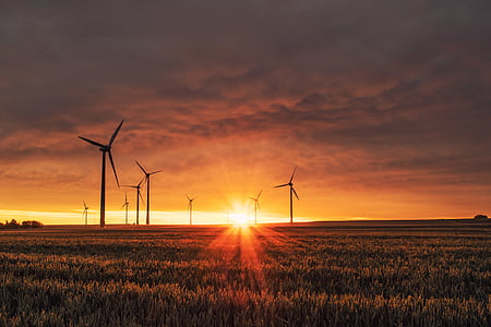 landscape photography of silhouette of windmills on field thumbnail