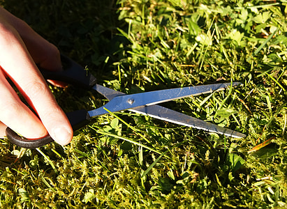 person holding black scissors cutting grass thumbnail