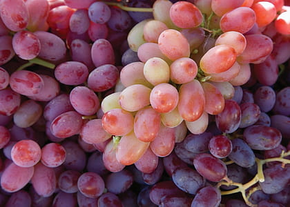 pile of red grapes thumbnail