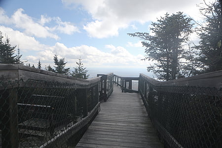brown wooden stair between trees at daytime thumbnail