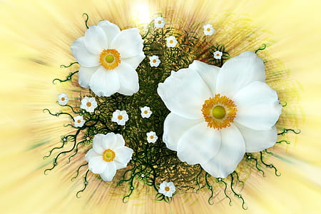 white petaled flowers wallpaper thumbnail
